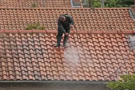 Nettoyage et démoussage de toiture à Montagne à Montagne